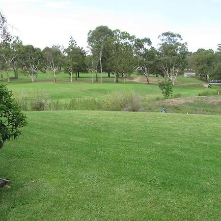 The Wayfarer Motel Muswellbrook Kültér fotó