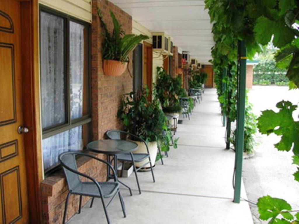 The Wayfarer Motel Muswellbrook Szoba fotó