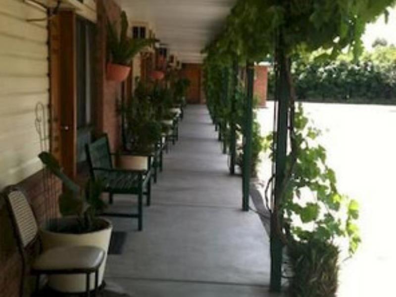 The Wayfarer Motel Muswellbrook Kültér fotó